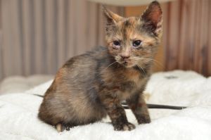 hope_20161019_0002_klein