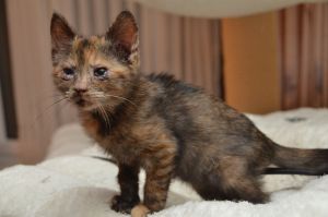 hope_20161019_0006_klein