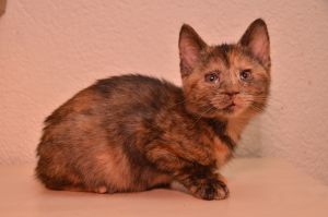 hope_20161028_0007_klein