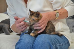 Hope_20161030_0004_klein