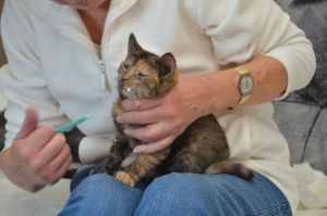 Hope_20161030_0006_klein