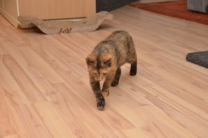 Hope_20161209_0002_klein