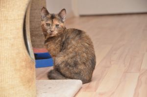 Hope_20161209_0003_klein