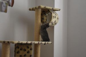 jana_20160905_0001_klein