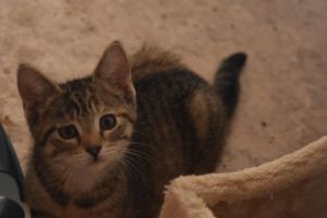 jana_20160905_0002_klein