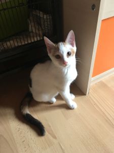 Kim_20160917_0002_klein