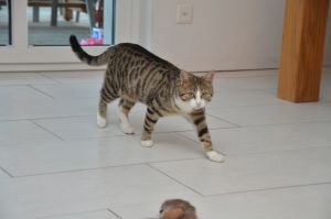 Kimani_20160123_0027_klein