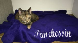 Leia_20170107_0001_klein