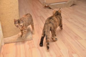 Liara-Hope_20161209_0001_klein