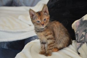 Liara_20161030_0002_klein