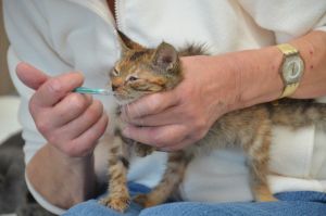 Liara_20161030_0003_klein