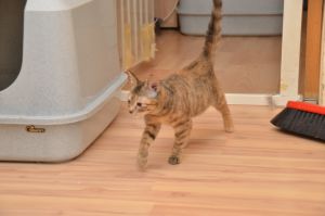 Liara_20161209_0002_klein