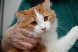 Lucky_20170115_0005_klein