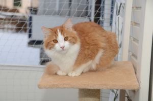 Lucky_20170115_0008_klein