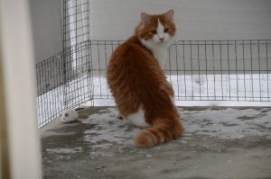 Lucky_20170115_0012_klein