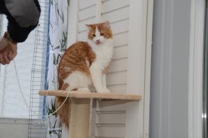 Lucky_20170115_0017_klein