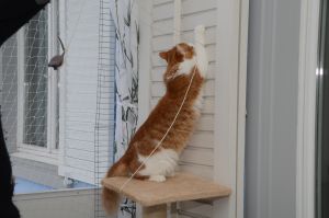 Lucky_20170115_0019_klein