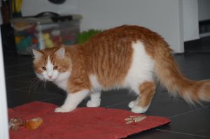 Lucky_20170115_0031_klein