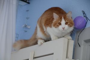 Lucky_20170115_0057_klein