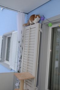 Lucky_20170115_0058_klein