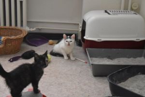 lucy-arwen_20160905_0001_klein