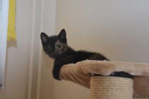 lucy_20160905_0002_klein