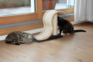 Lulu-Bella_20170208_0008_klein