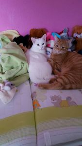 Mia-Nilo_20161206_0001_klein