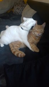 Mia-Nilo_20161206_0002_klein