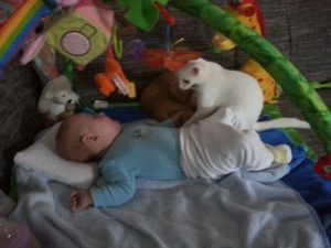 Mia-Nilo_20161206_0004_klein