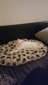 Mia_20161206_0002_klein