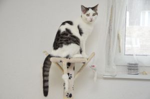 Milli_20160123_0024_klein