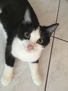 Mogli_20161206_0011_klein