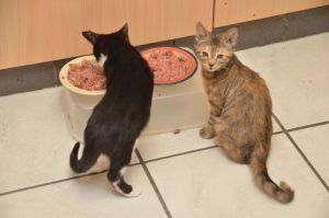 Moritz-Liara_20161209_0001_klein