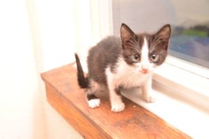 moritz_20160913_0002_680