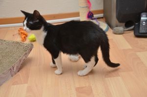 Moritz_20161219_0001_klein