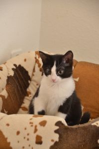 Moritz_20161219_0006_klein