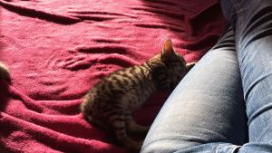 Murphy_20161209_0001_klein