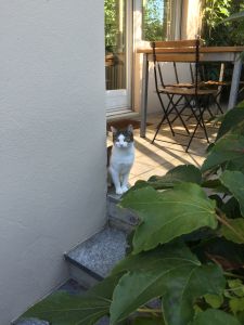 muzeli_20161201_0002_klein