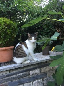 muzeli_20161201_0003_klein