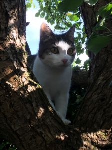 muzeli_20161201_0004_klein