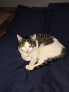 muzeli_20161201_0005_klein