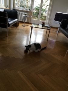 muzeli_20161201_0006_klein