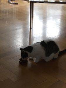 muzeli_20161201_0007_klein