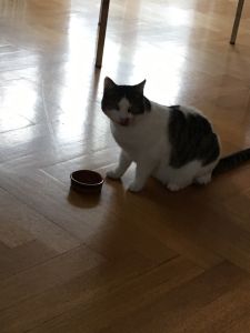 muzeli_20161201_0008_klein