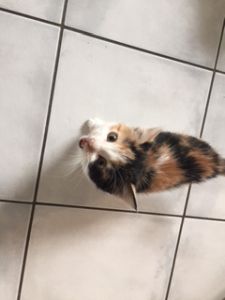 nila_20161129_0002-klein