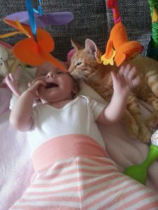 Nilo_20161206_0002_klein