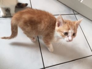 osiris_20161129_0003_klein