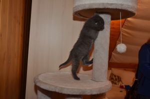 sahar_20161009_0005_klein