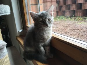 Slaw_20161225_0004_klein